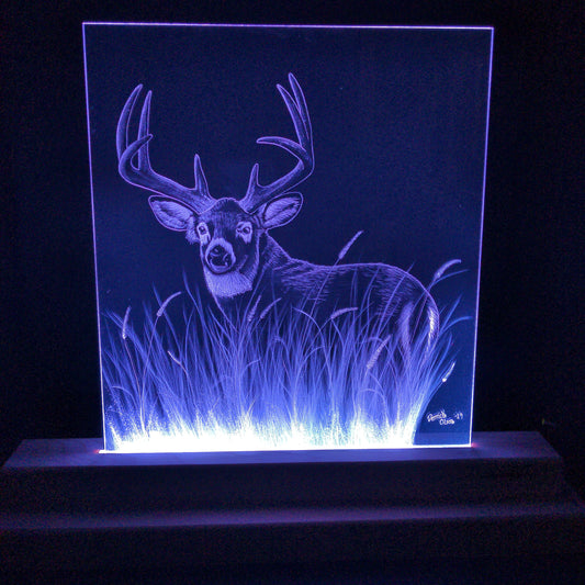 Big Buck (standard LED)