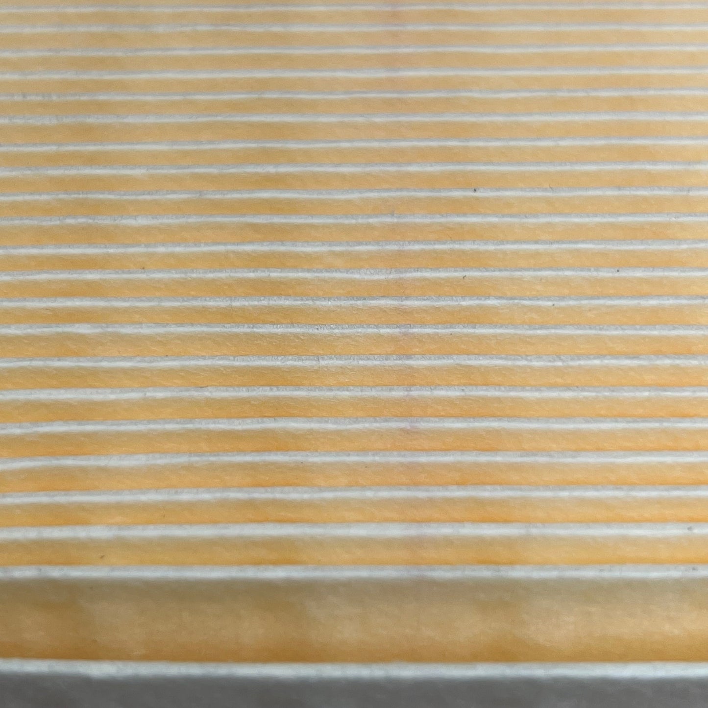 PERFORMAX Air Filter PA-578 Automotive Air Filter