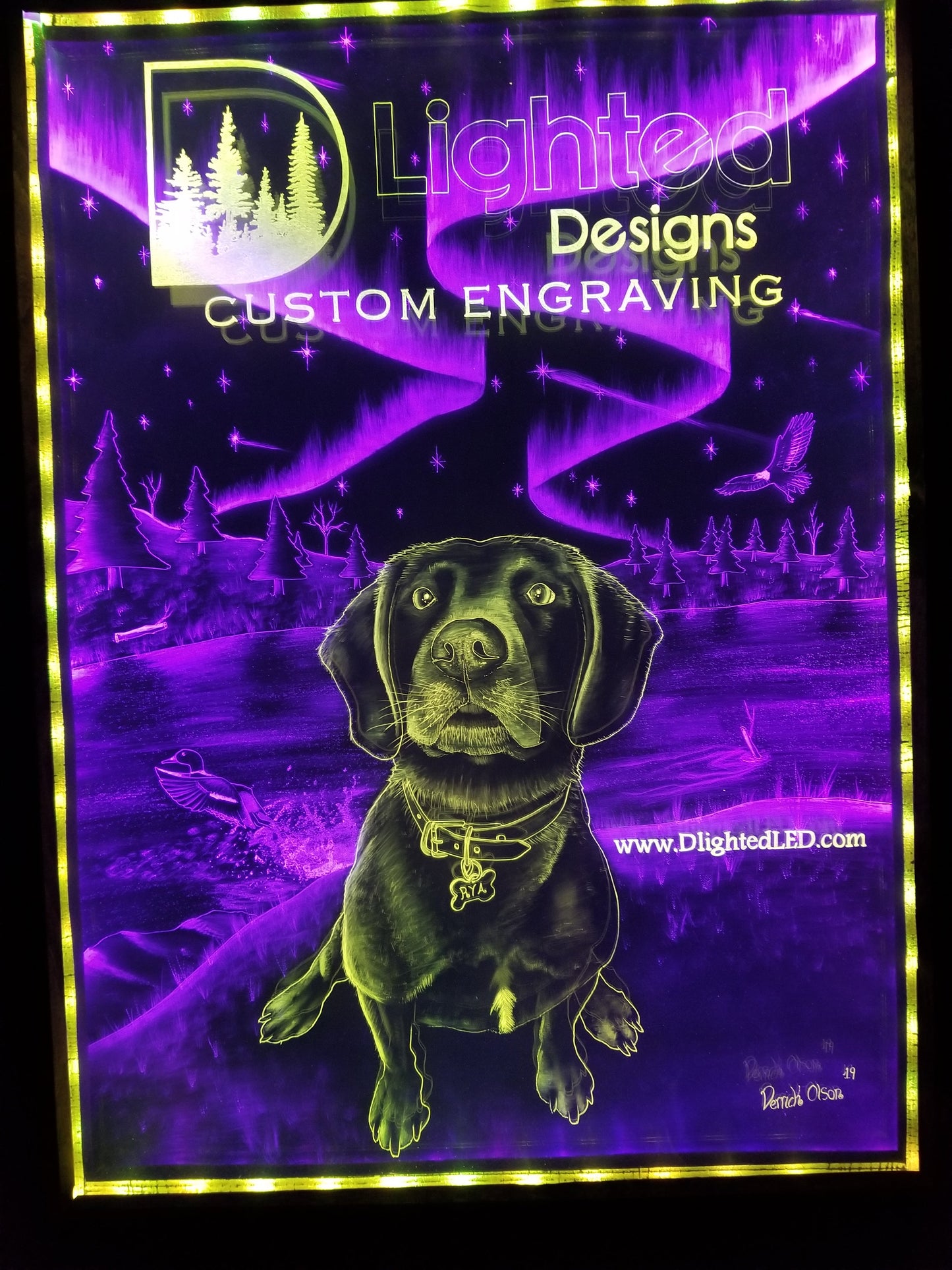 DUAL PANEL LEDs (Customizable)