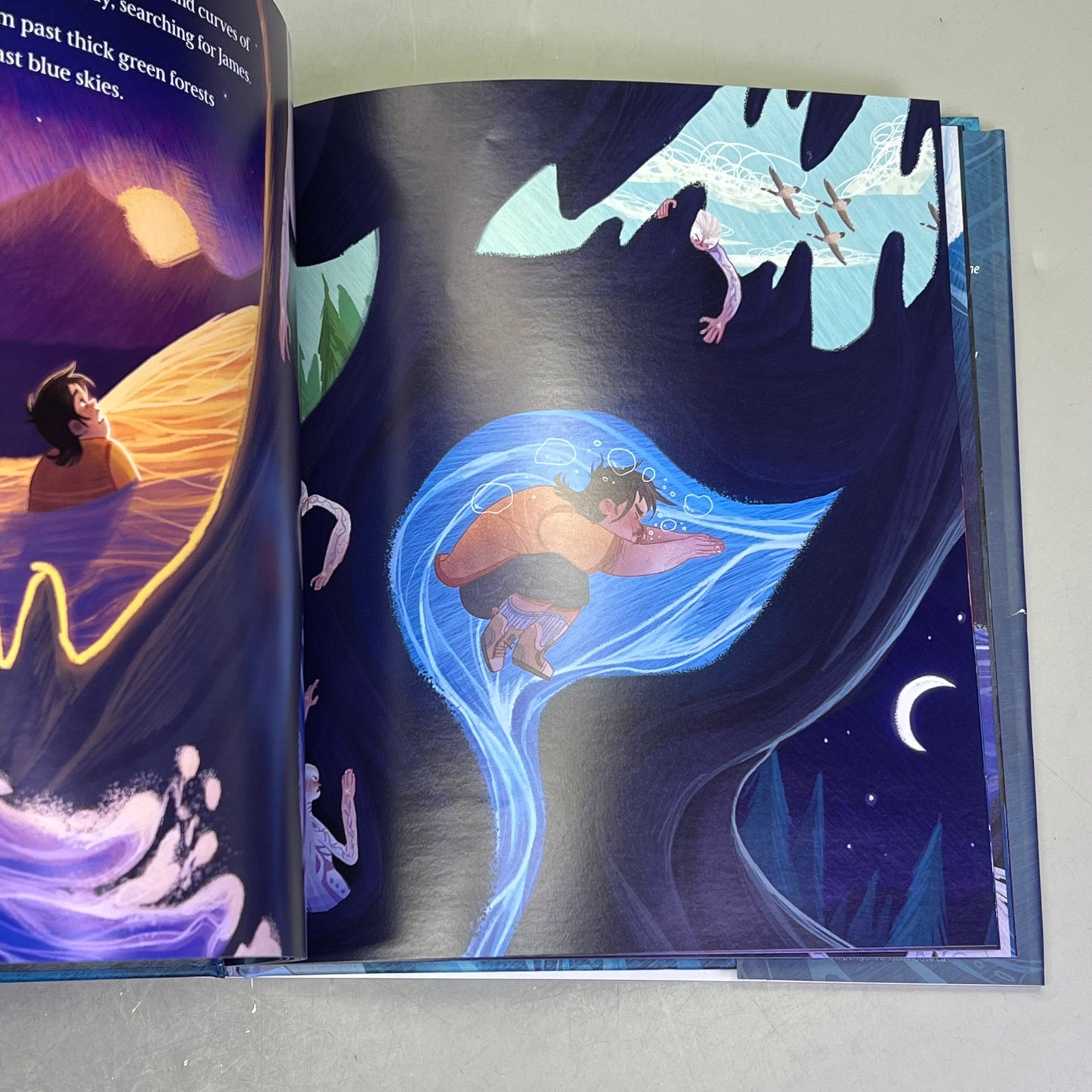 THE SONG THAT CALLED THEM HOME Hardcover Picture Book By David A. Robertson