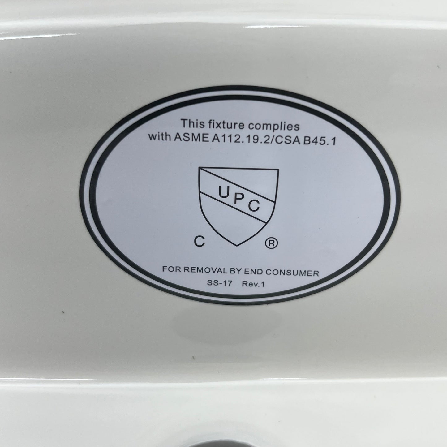 SLOAN Vitreous China Wall-Mounted Backsplash Lavatory Sink White SS3103