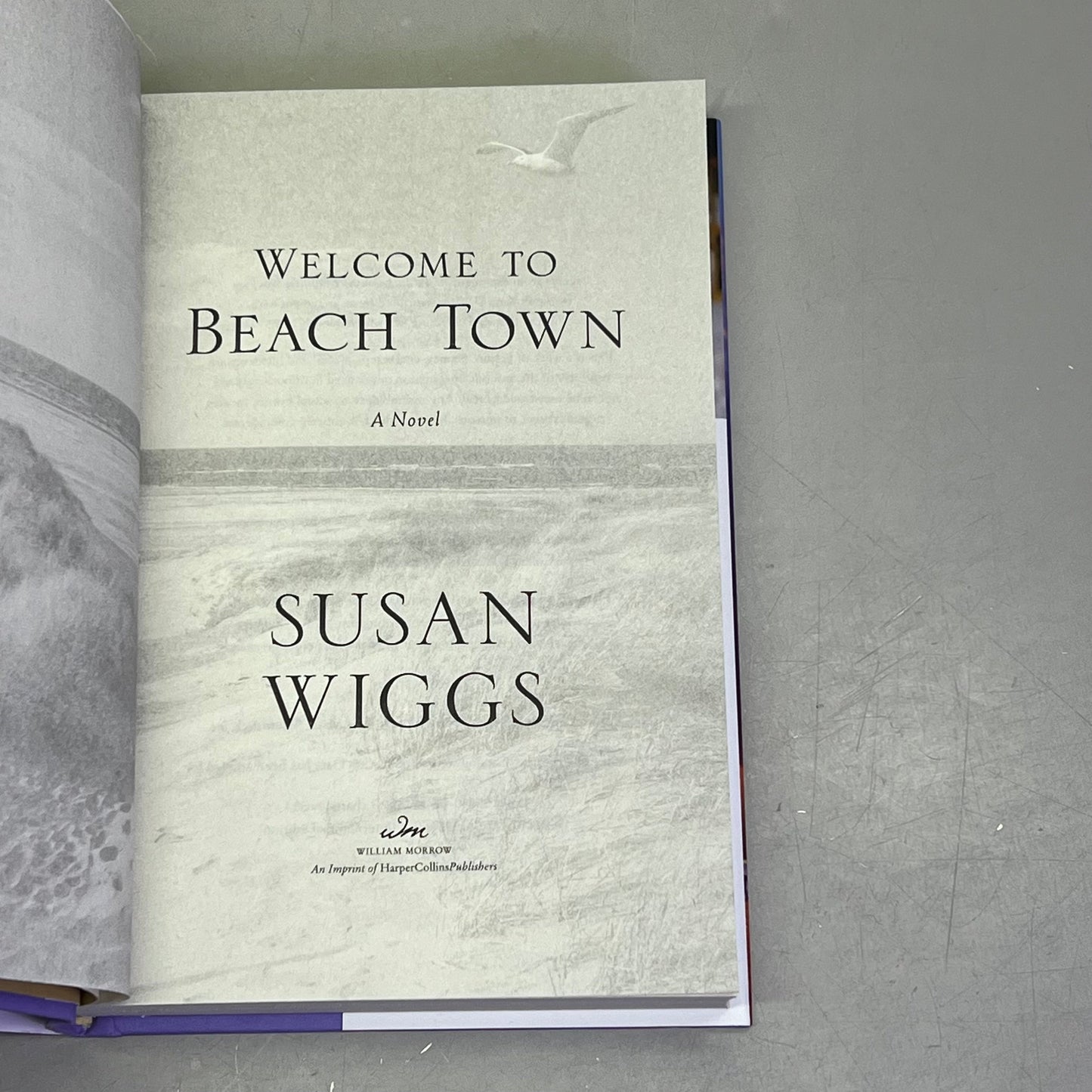 WELCOME TO BEACH TOWN Secrets & Scandal In A California Beach Town By Susan Wiggs