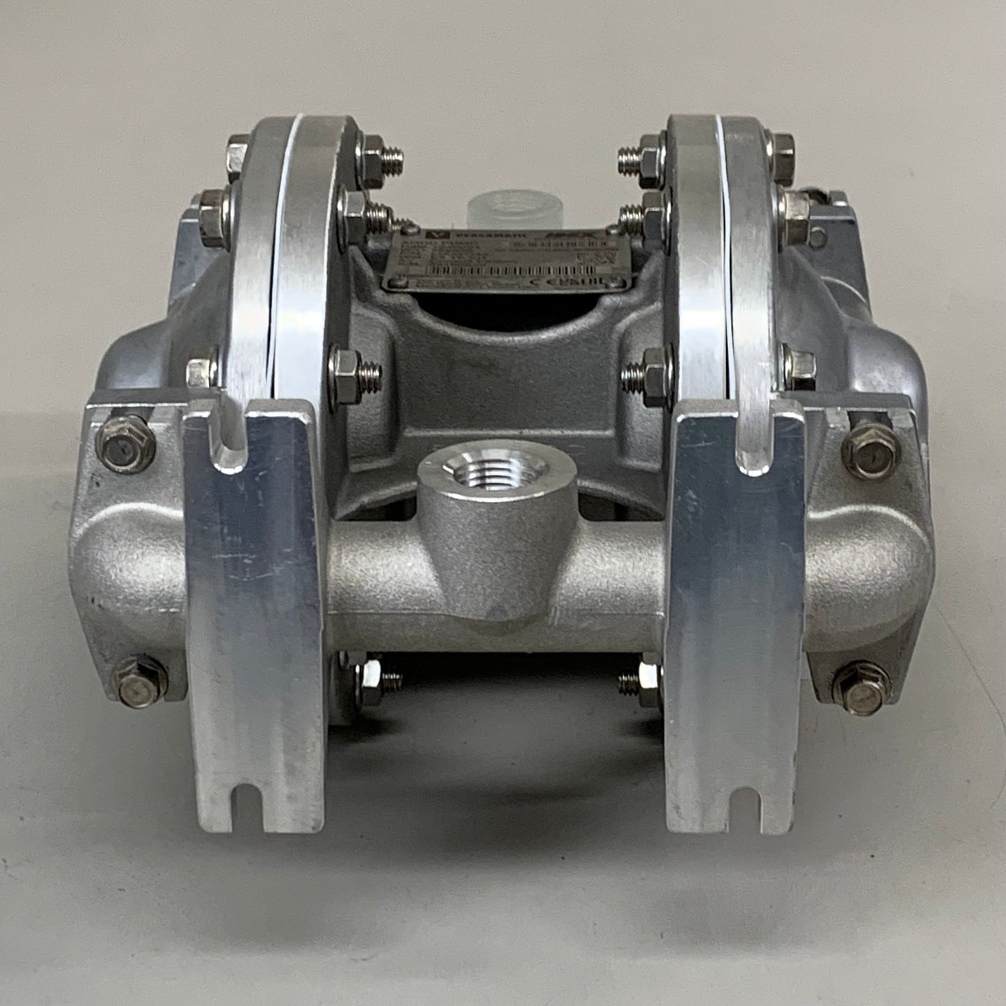 VERSAMATIC Air Operated Double Diaphragm Pump 1/2"  E5AP5T559C