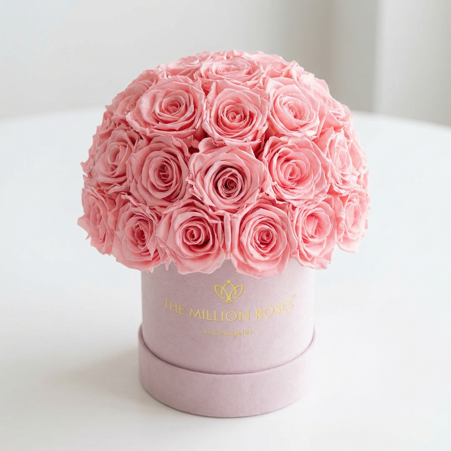 Essence Light Pink Suede Superdome Box | Light Pink Roses