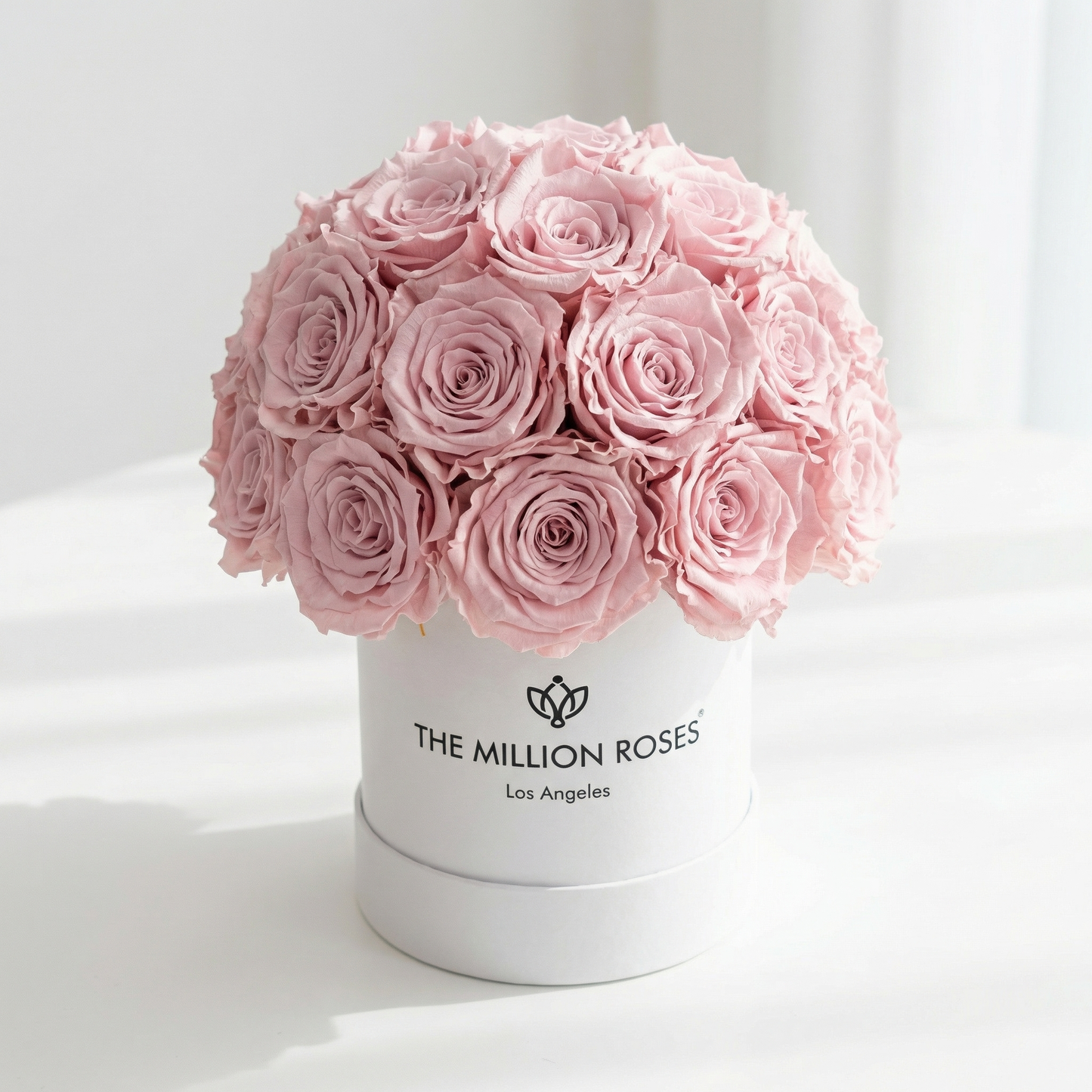 Essence White Superdome Box | Light Pink Roses