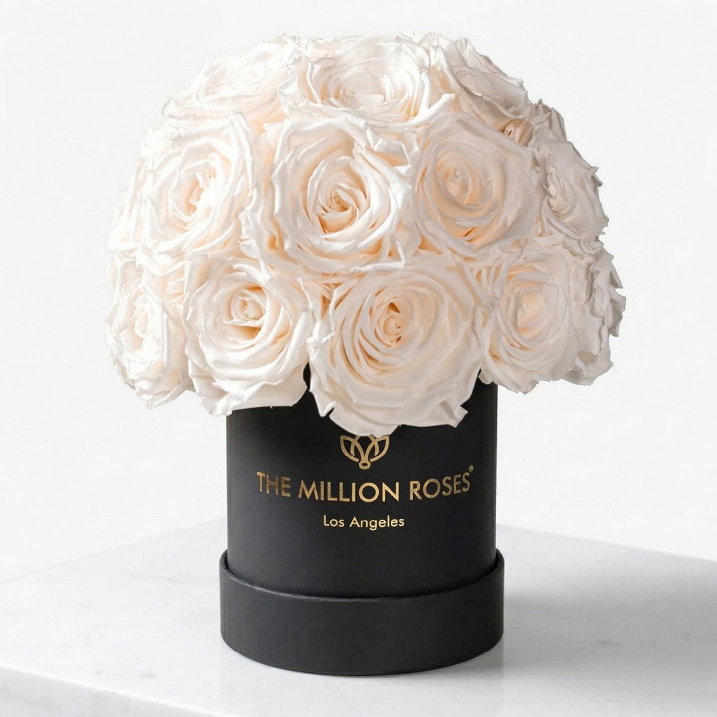 Essence Black Superdome Box | White Roses