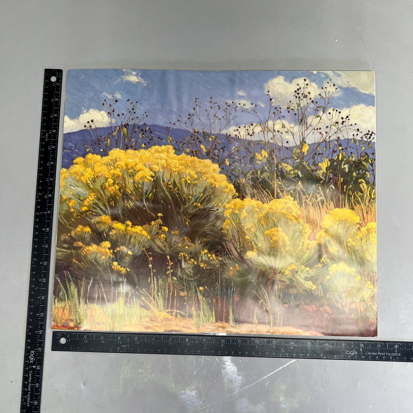 E. MARTIN HENNINGS Desert Land Painting On Foam Board 19"x15" (Like New)