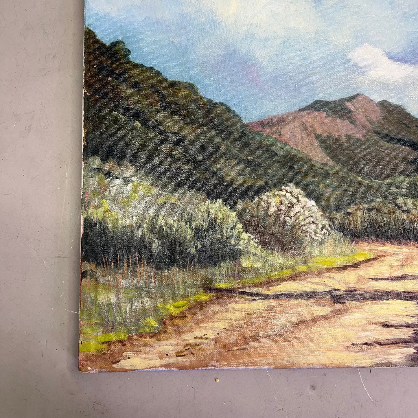VERNA MARIE (CAMPBELL) Textured Oil Panting On Canvas Desert Mountains 24"x20"