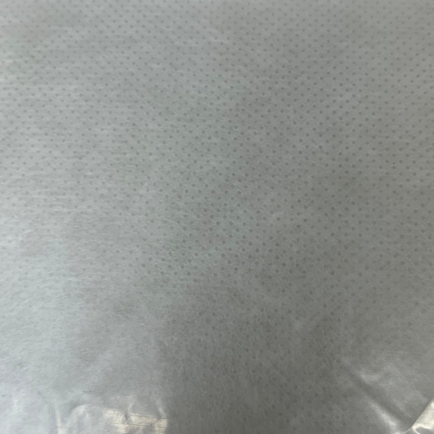 CREATIVE CO-OP Reserved for The Cat Cotton Pillow 24"W x 14" H Creme DF0524