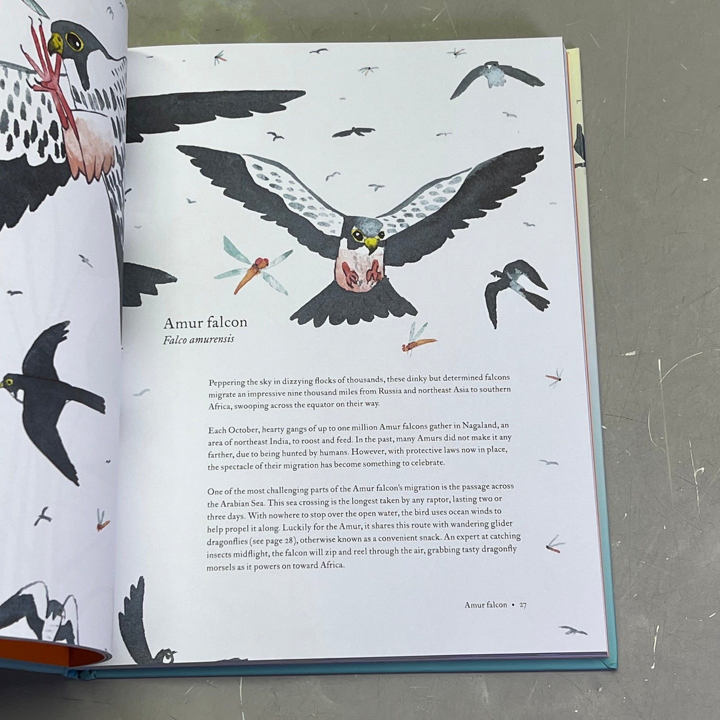 THE ATLAS OF MIGRATING PLANTS & AMINAL Hardback Book By Megan Lee (As-is)