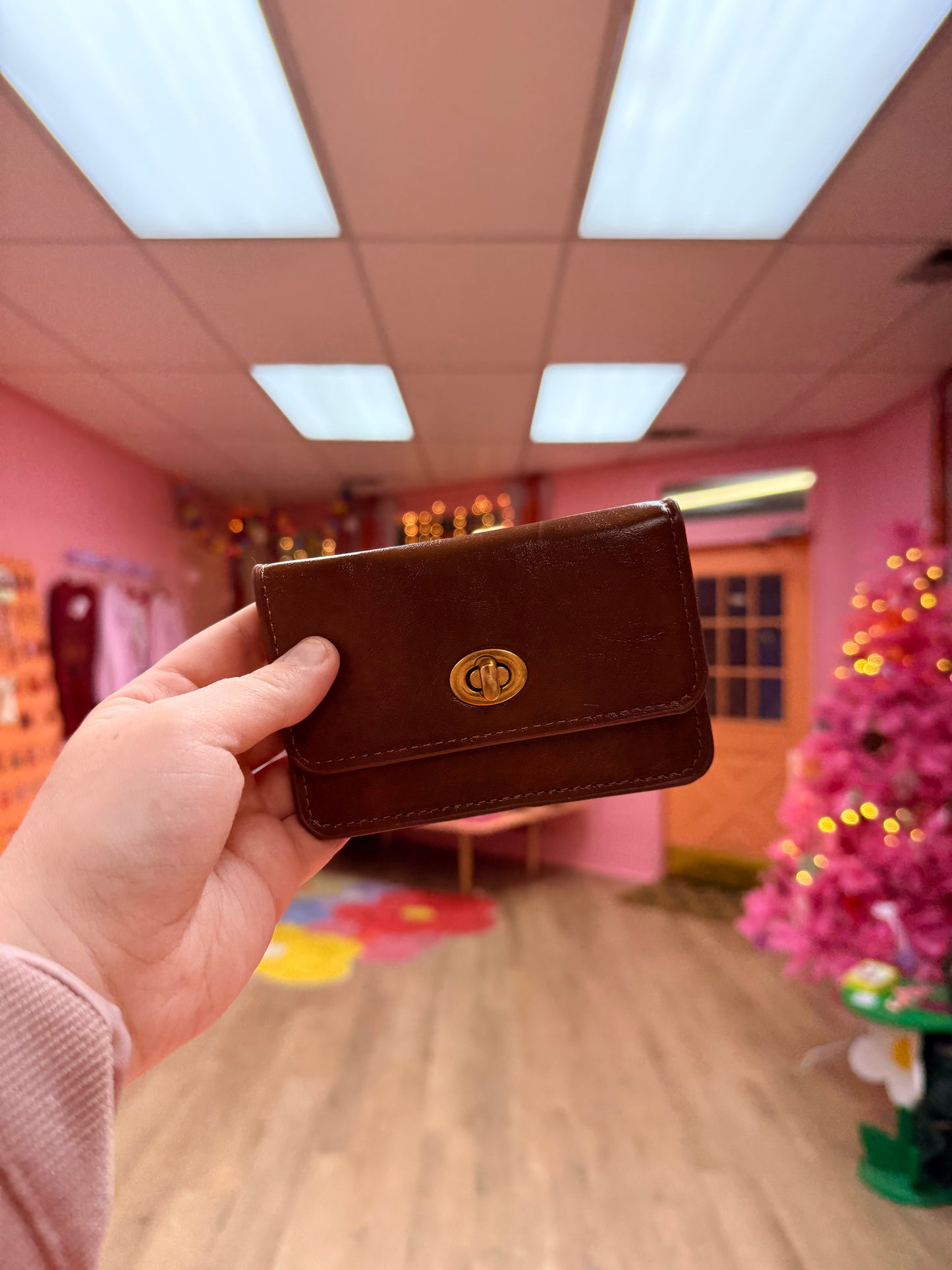 Classy Clasp Wallet