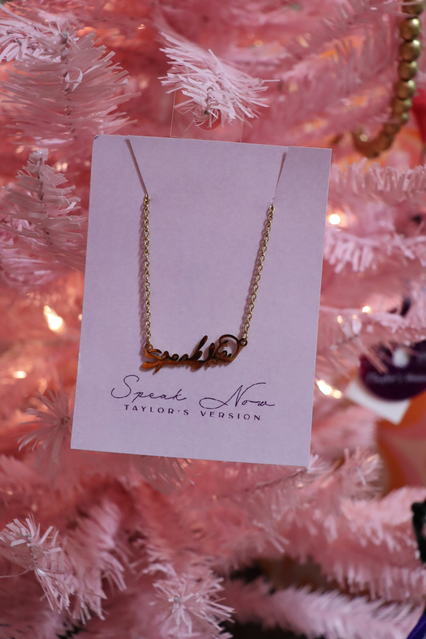 Silver Taylor Stainless Steel Necklace