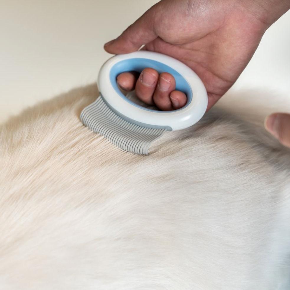 Pet Life ® 'Knuckler' Handheld Travel Flexible Grooming Pet Rake Comb